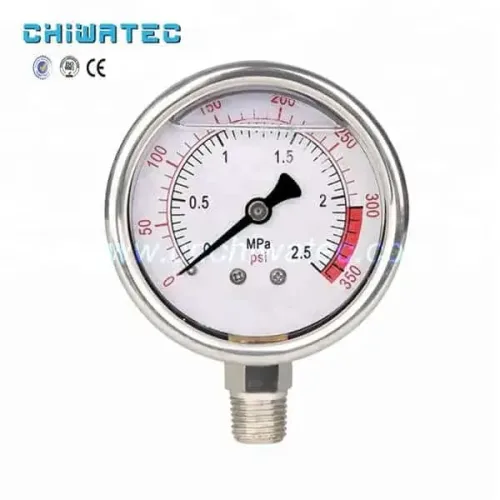 63mm 1Mpa pressure gauge