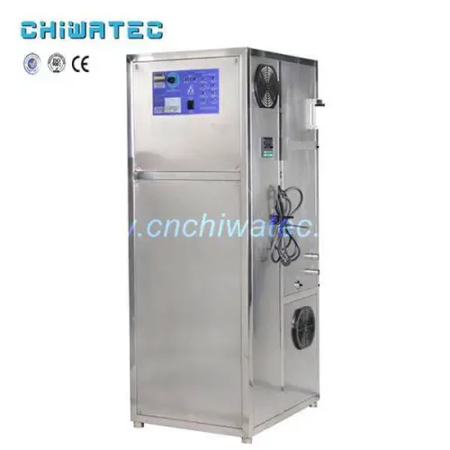Ozone Generator for Swimming Pool
